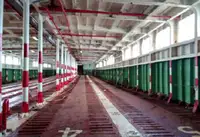 Nava RORO de vânzare