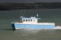 Catamaran de vânzare