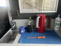 Catamaran de vânzare