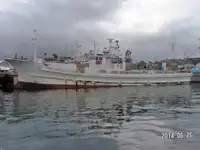 Nava cu paragate de vânzare